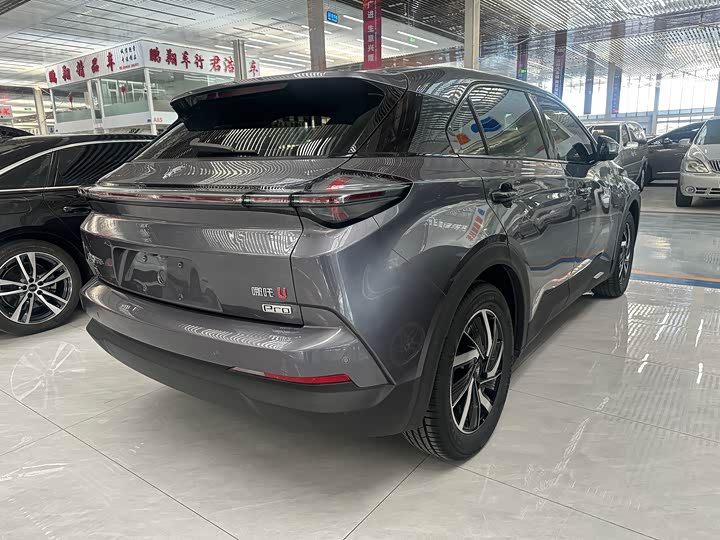 Фото 4 - Hozon U