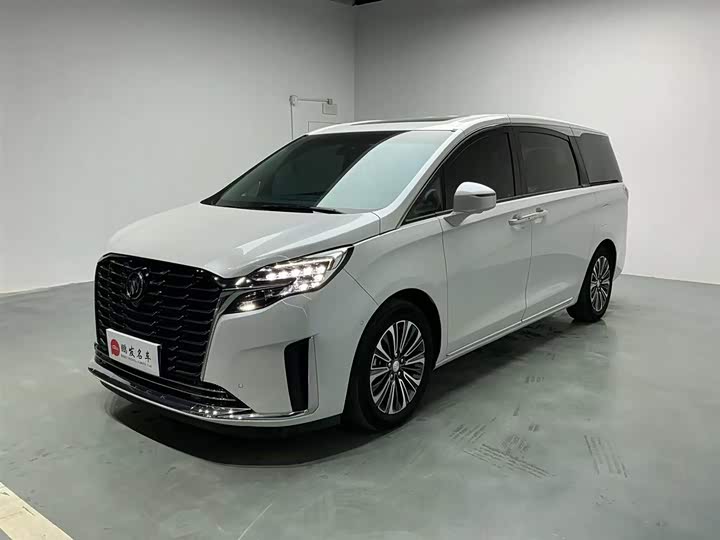 Фото 1 - Buick GL8 ES