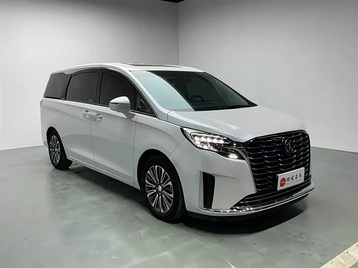 Фото 3 - Buick GL8 ES