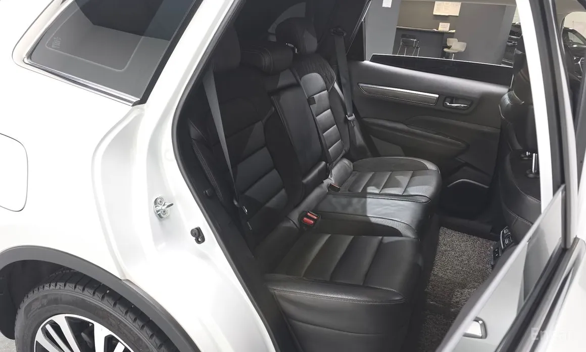 Фото 11 - Renault QM6