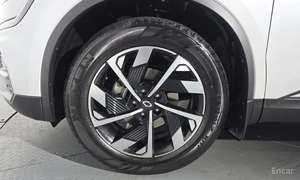 Фото 5 - Renault QM6