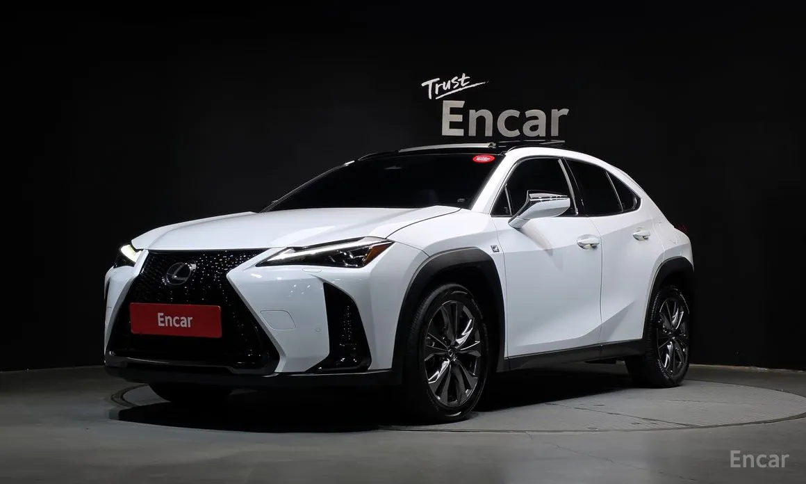 Фото 1 - Lexus UX