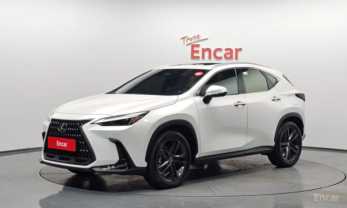 Фото 1 - Lexus NX