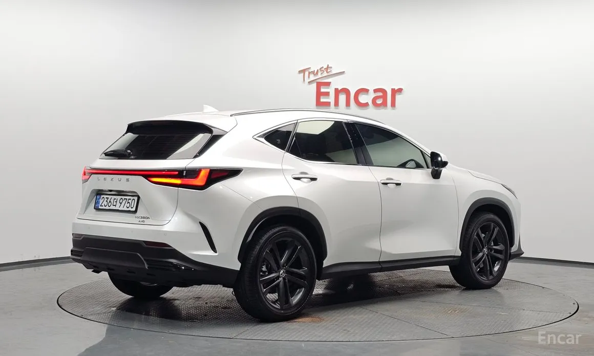 Фото 2 - Lexus NX