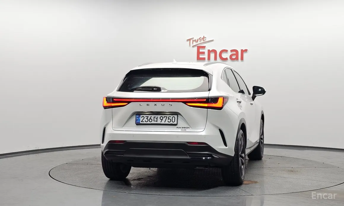 Фото 4 - Lexus NX