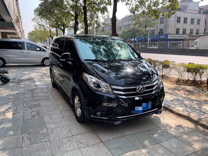 Фото 1 - Maxus G10