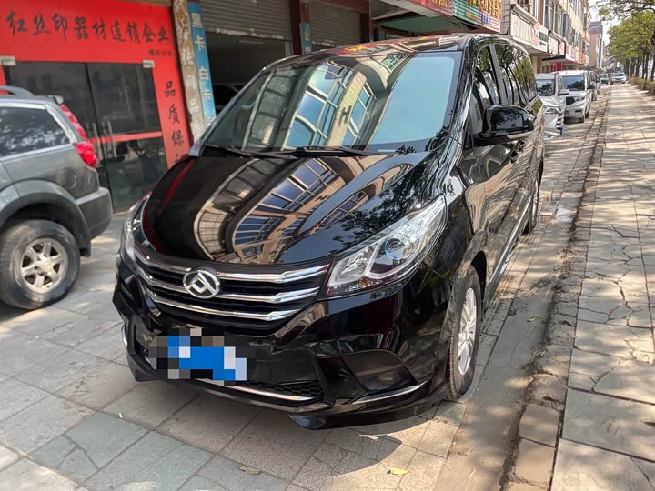 Фото 2 - Maxus G10