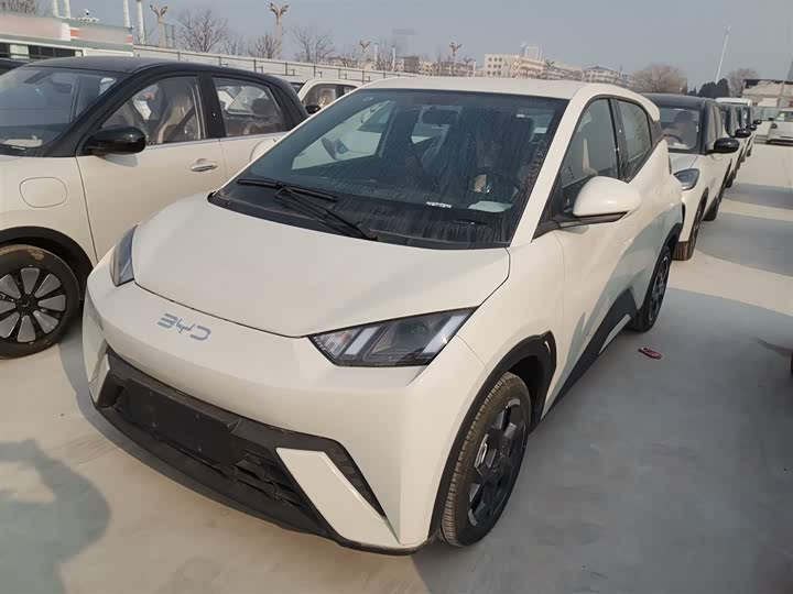 Фото 2 - BYD Seagull