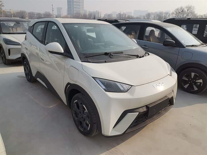 Фото 4 - BYD Seagull