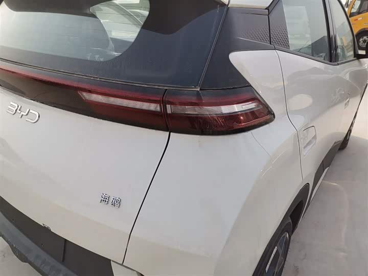 Фото 8 - BYD Seagull