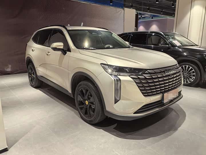 Фото 3 - Haval H6