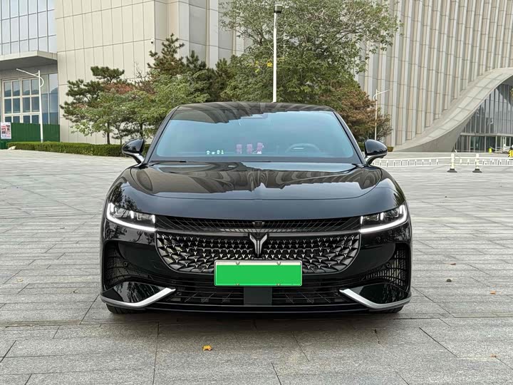 Фото 2 - Voyah Passion