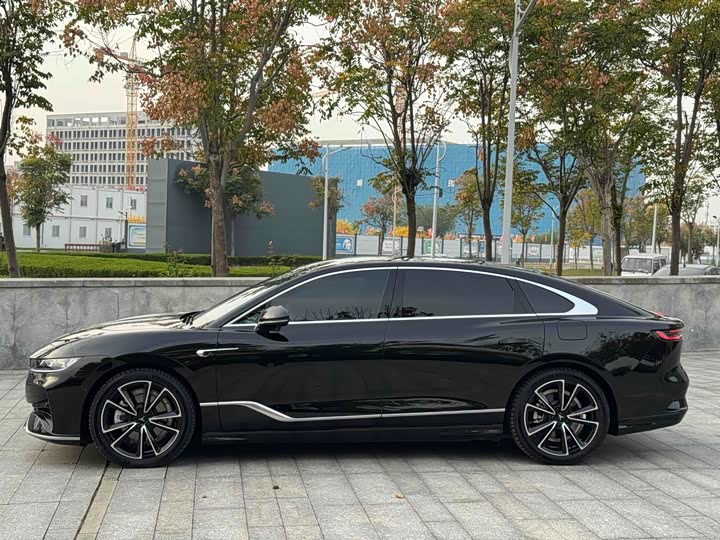 Фото 4 - Voyah Passion