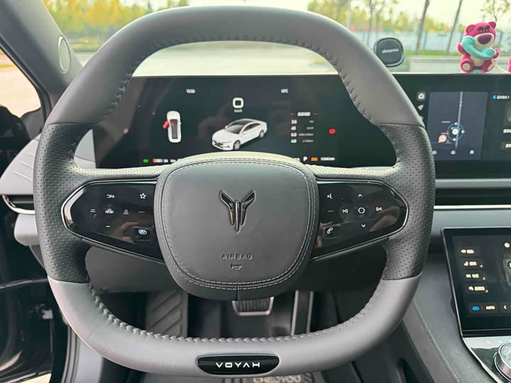 Фото 8 - Voyah Passion