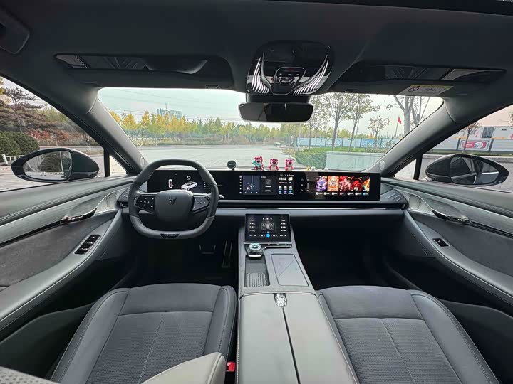 Фото 9 - Voyah Passion