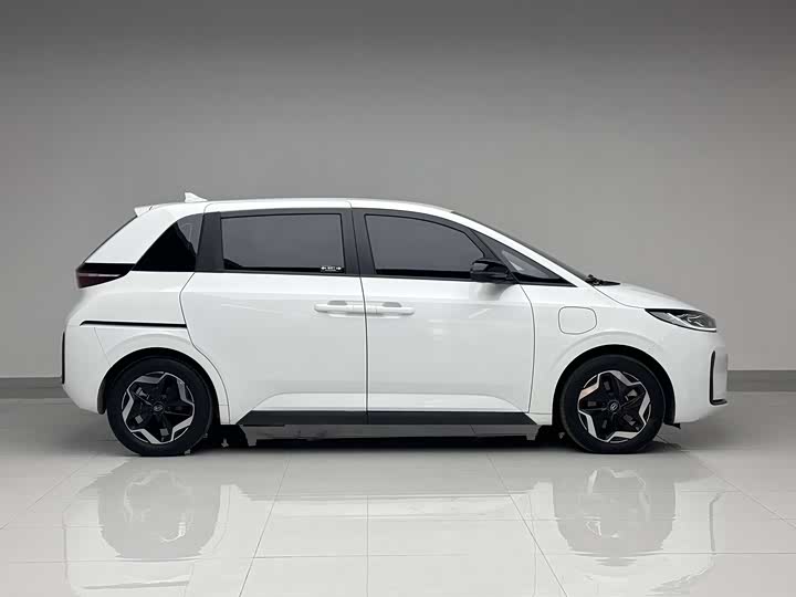 Фото 4 - BYD D1