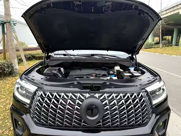 Фото 3 - Great Wall Pao