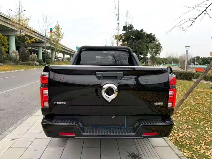 Фото 5 - Great Wall Pao