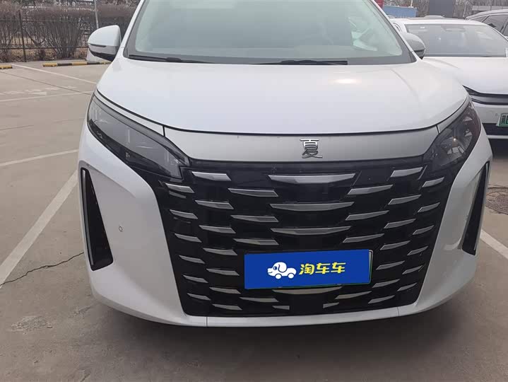 Фото 2 - BYD Xia