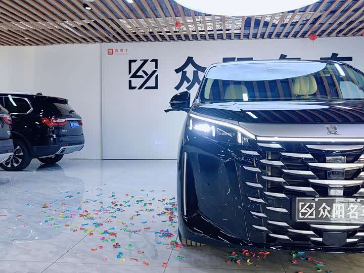 Фото 3 - BYD Xia