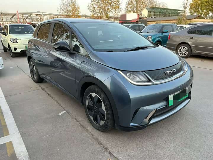 Фото 3 - BYD Dolphin