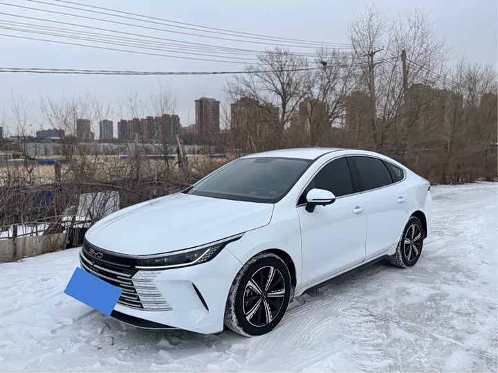 Фото 1 - BYD Destroyer 05