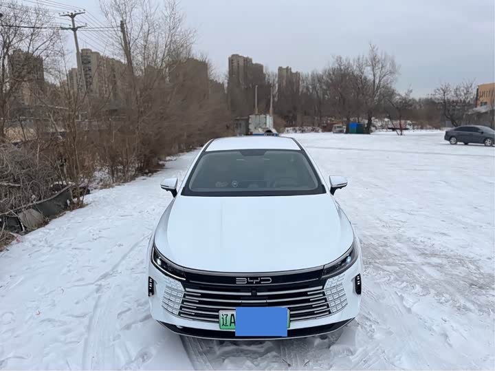 Фото 4 - BYD Destroyer 05