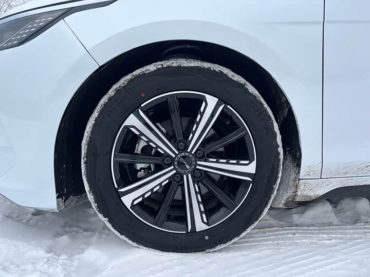 Фото 5 - BYD Destroyer 05