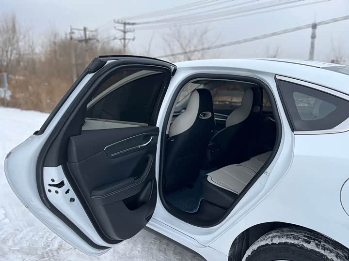 Фото 9 - BYD Destroyer 05