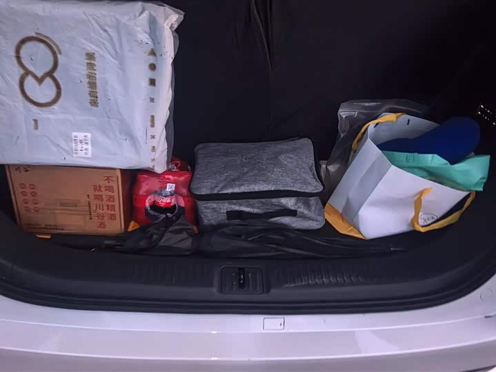 Фото 4 - Buick GL8 Century