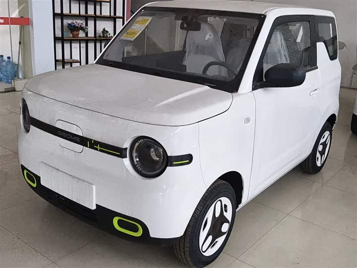 Фото 1 - Geely Galaxy Panda Mini