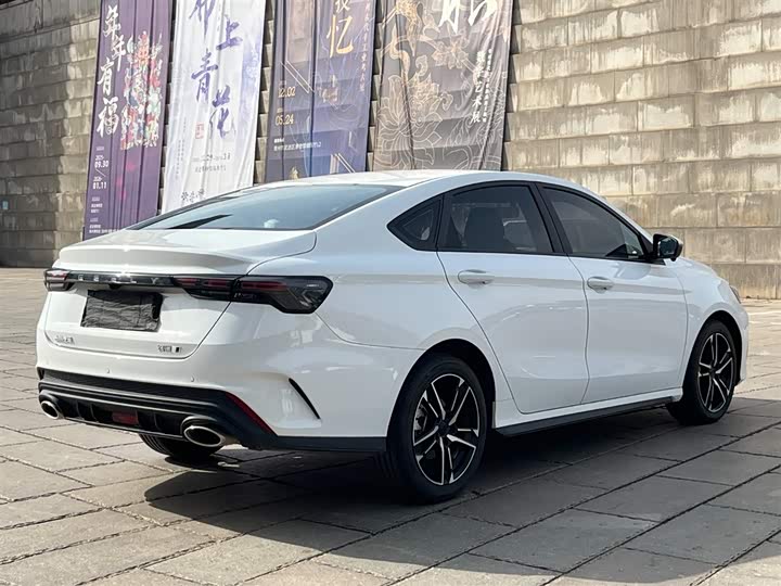 Фото 7 - Geely Binrui