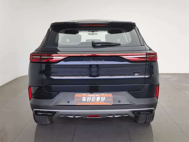 Фото 4 - Dongfeng Aeolus Haoji