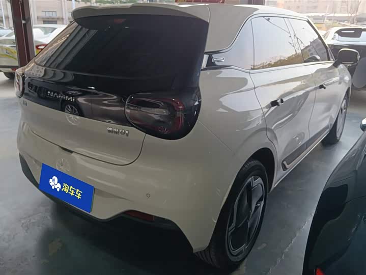 Фото 3 - Dongfeng Nammi 01