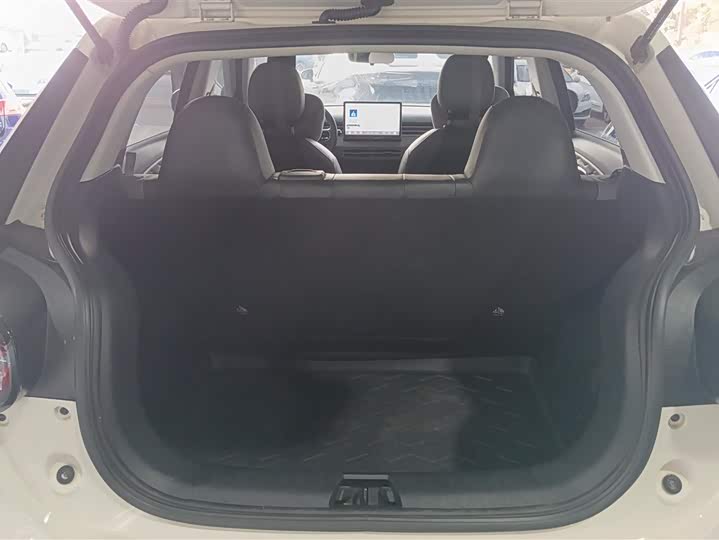 Фото 4 - Dongfeng Nammi 01