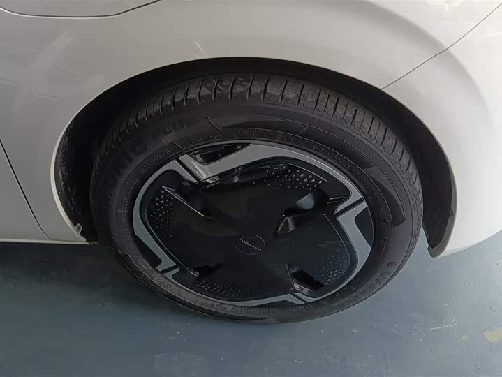 Фото 6 - Dongfeng Nammi 01