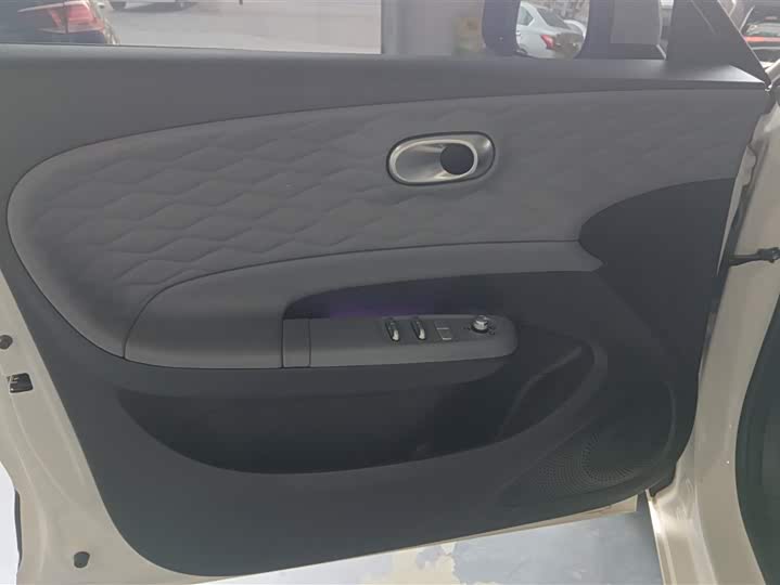 Фото 7 - Dongfeng Nammi 01