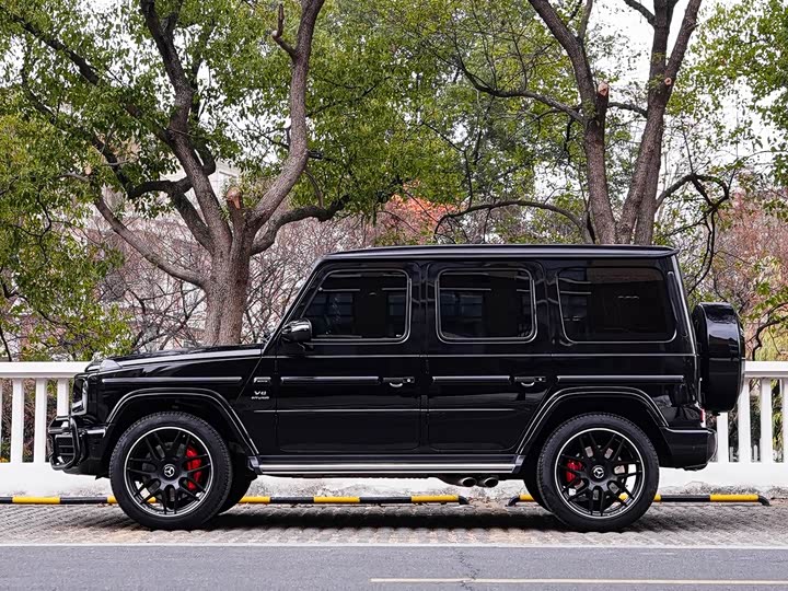 Фото 6 - Mercedes-Benz G-Class AMG