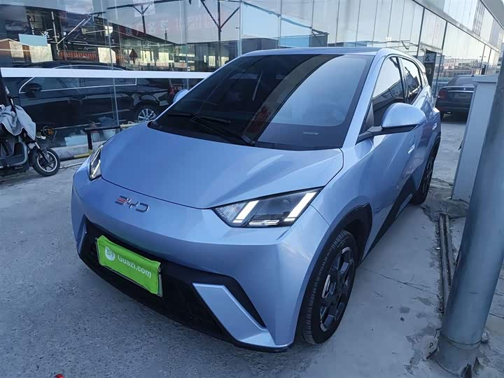 Фото 1 - BYD Seagull