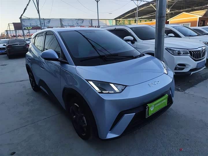 Фото 4 - BYD Seagull