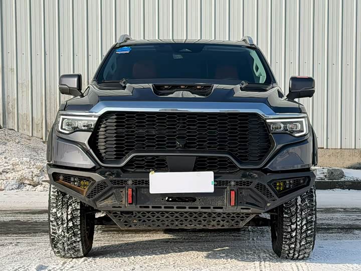 Фото 2 - Foton Mars 7