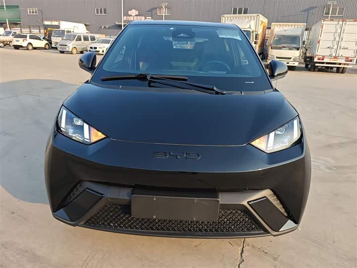 Фото 3 - BYD Seagull