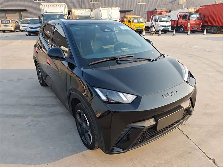 Фото 4 - BYD Seagull