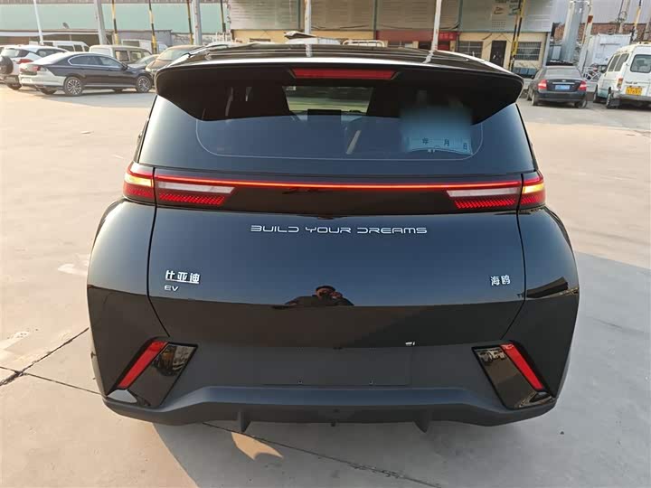 Фото 6 - BYD Seagull