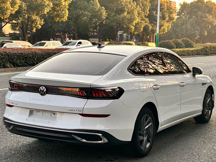 Фото 7 - Volkswagen Lamando L