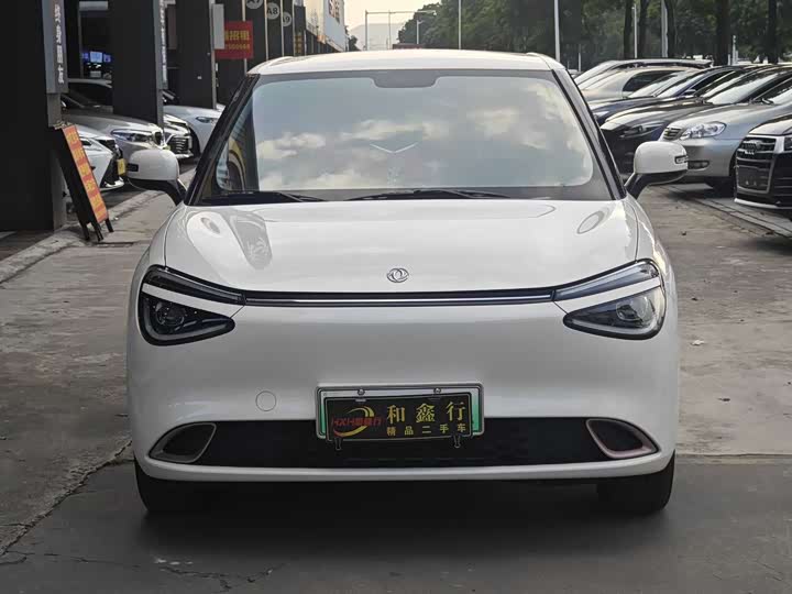 Фото 2 - Dongfeng Nammi 01