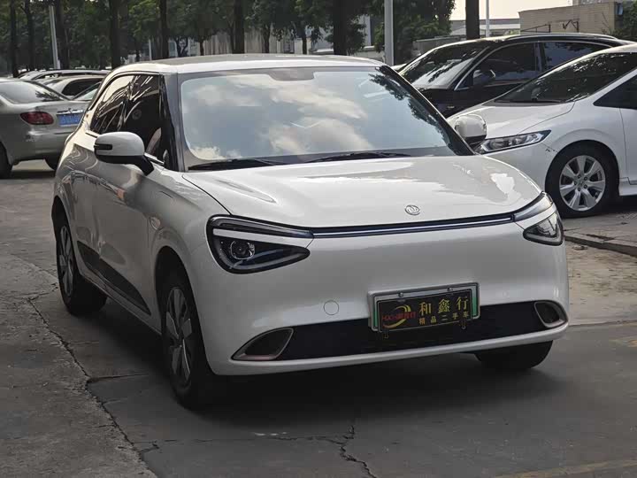 Фото 3 - Dongfeng Nammi 01