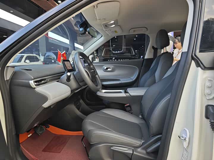 Фото 4 - Dongfeng Nammi 01