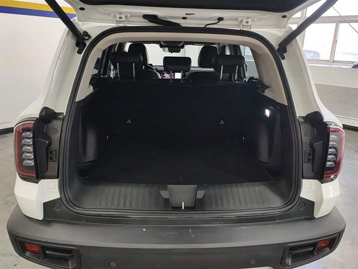 Фото 4 - Haval Dargo