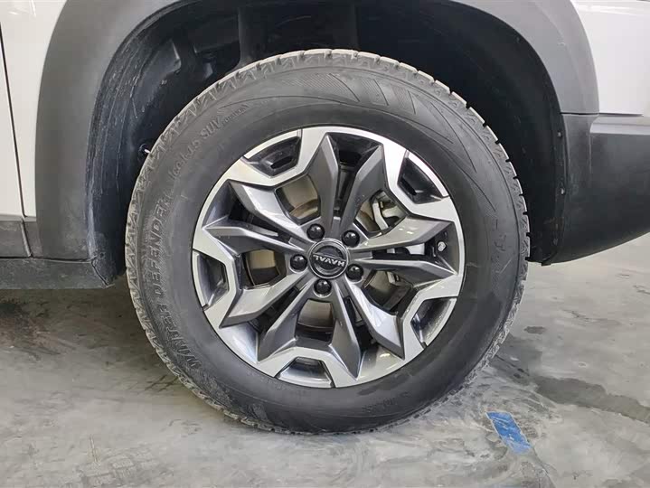 Фото 6 - Haval Dargo